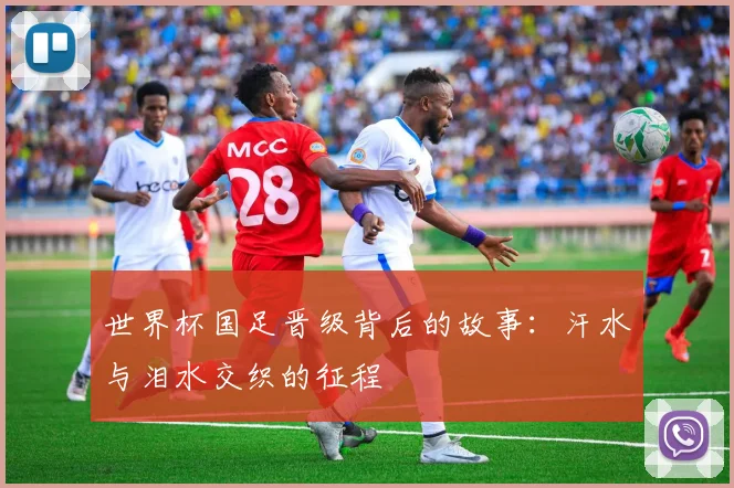 世界杯国足晋级背后的故事：汗水与泪水交织的征程