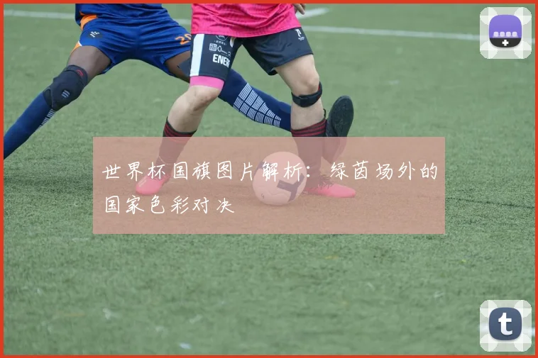 世界杯国旗图片解析：绿茵场外的国家色彩对决