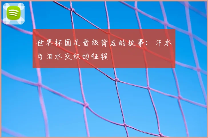 世界杯国足晋级背后的故事：汗水与泪水交织的征程