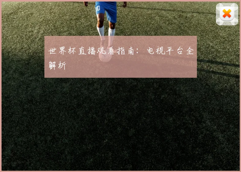 世界杯直播观看指南：电视平台全解析