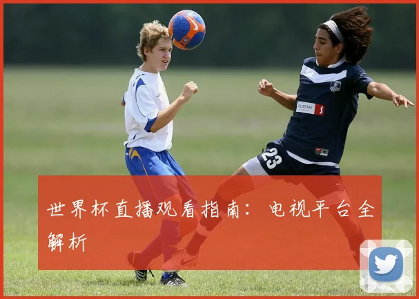 世界杯直播观看指南：电视平台全解析