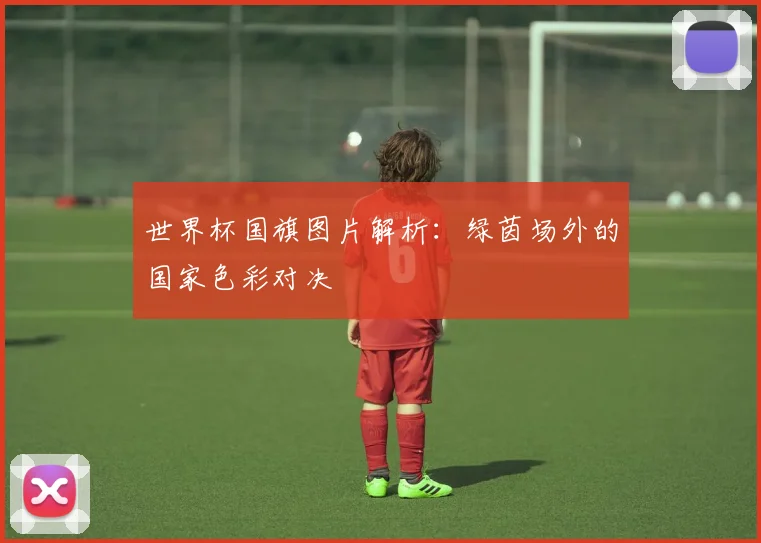 世界杯国旗图片解析：绿茵场外的国家色彩对决