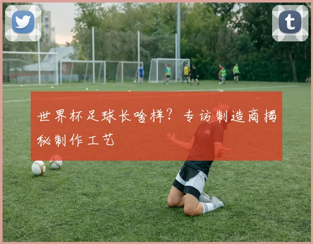 世界杯足球长啥样？专访制造商揭秘制作工艺