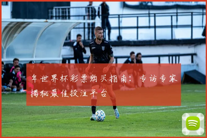 年世界杯彩票购买指南：专访专家揭秘最佳投注平台