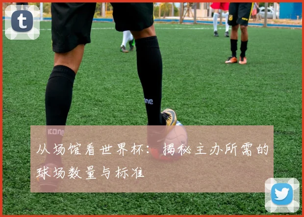 从场馆看世界杯：揭秘主办所需的球场数量与标准