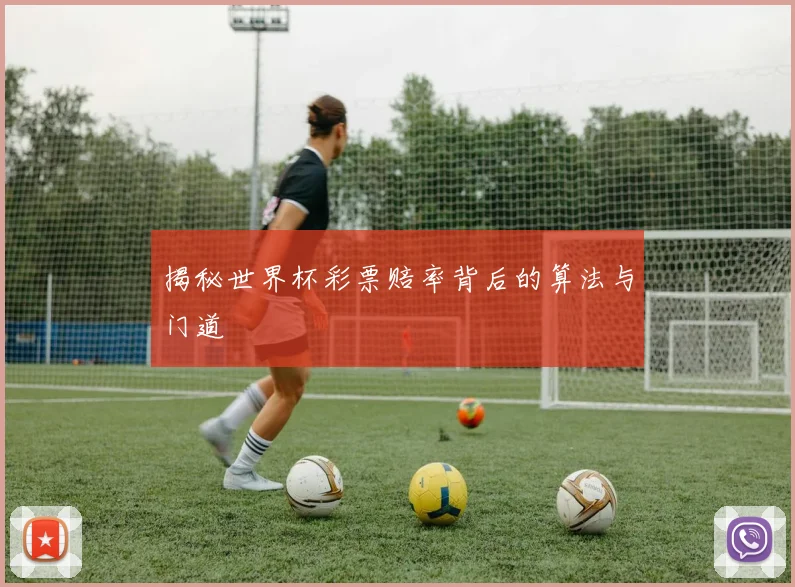揭秘世界杯彩票赔率背后的算法与门道