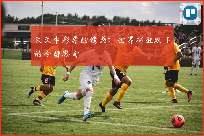天天中彩票的诱惑：世界杯狂欢下的冷静思考