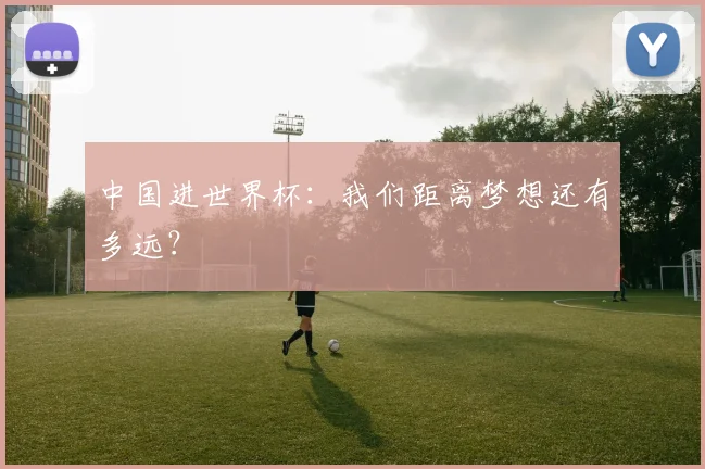 中国进世界杯：我们距离梦想还有多远？