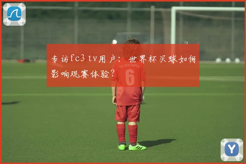 专访fc3 tv用户：世界杯买球如何影响观赛体验？